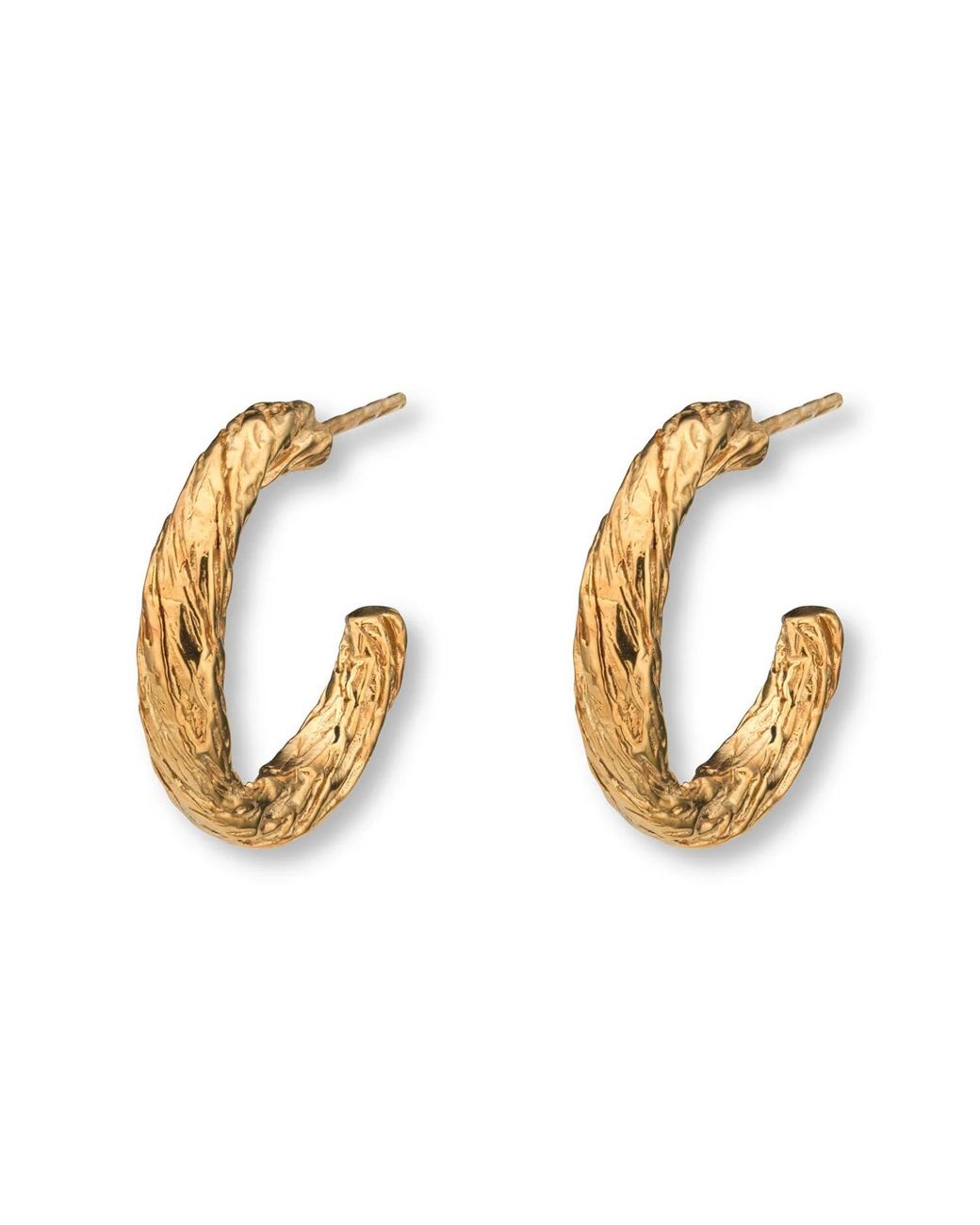EVA REMENYI Metallic Archaic Small Hoop Earrings