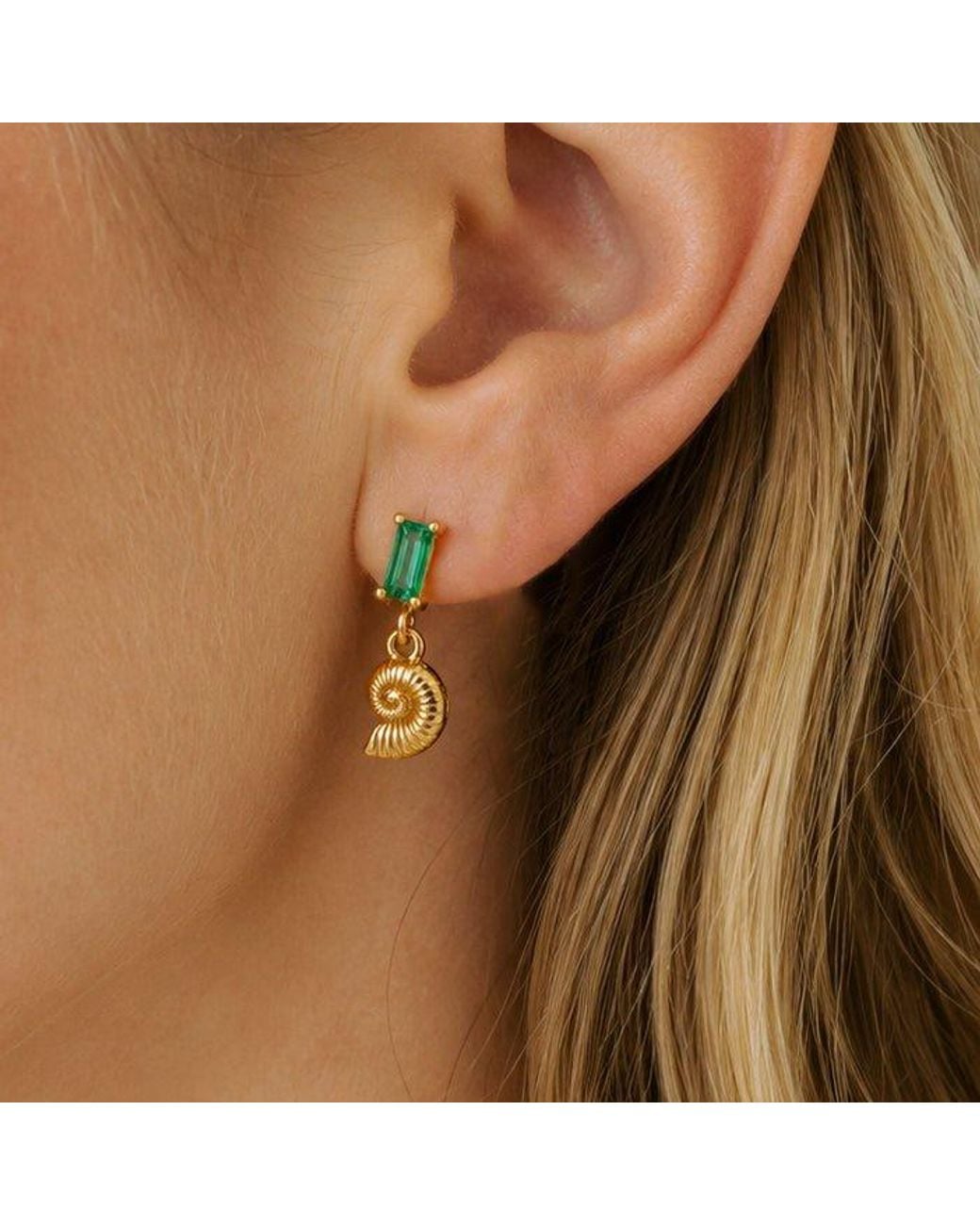 Cier Metallic Nautilus Stud Earrings