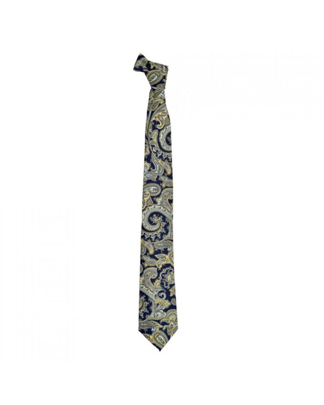 DAVID WEJ Metallic Paisley Printed Tie – for men