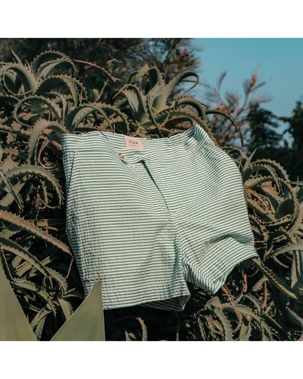 Pier Sicilia Green Luchino Seersucker for men
