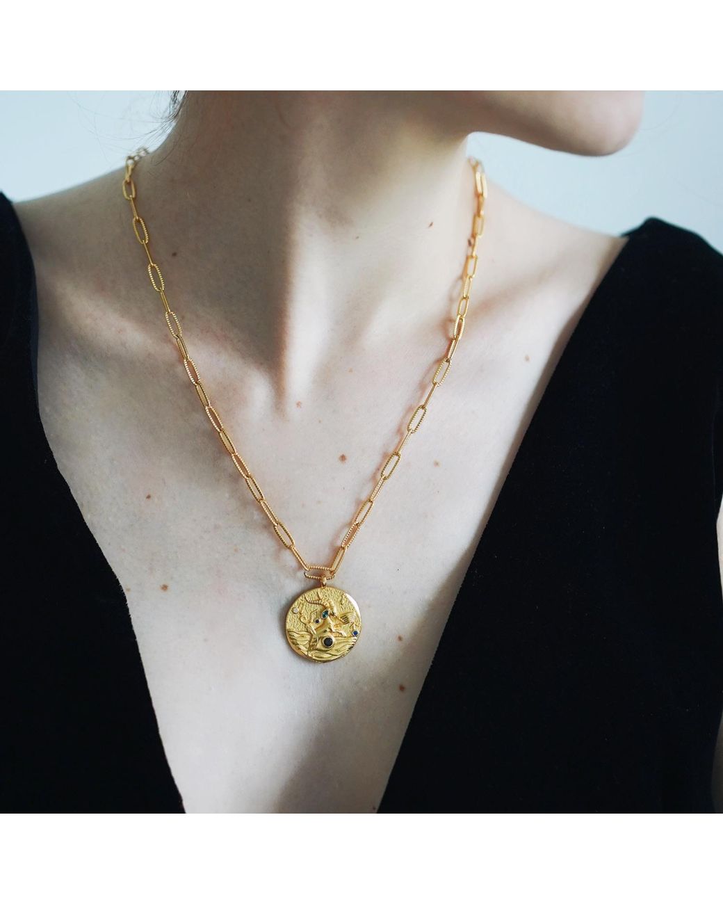 Aurozia Metallic Constellations Capricorn Double-Sided Coin Necklace