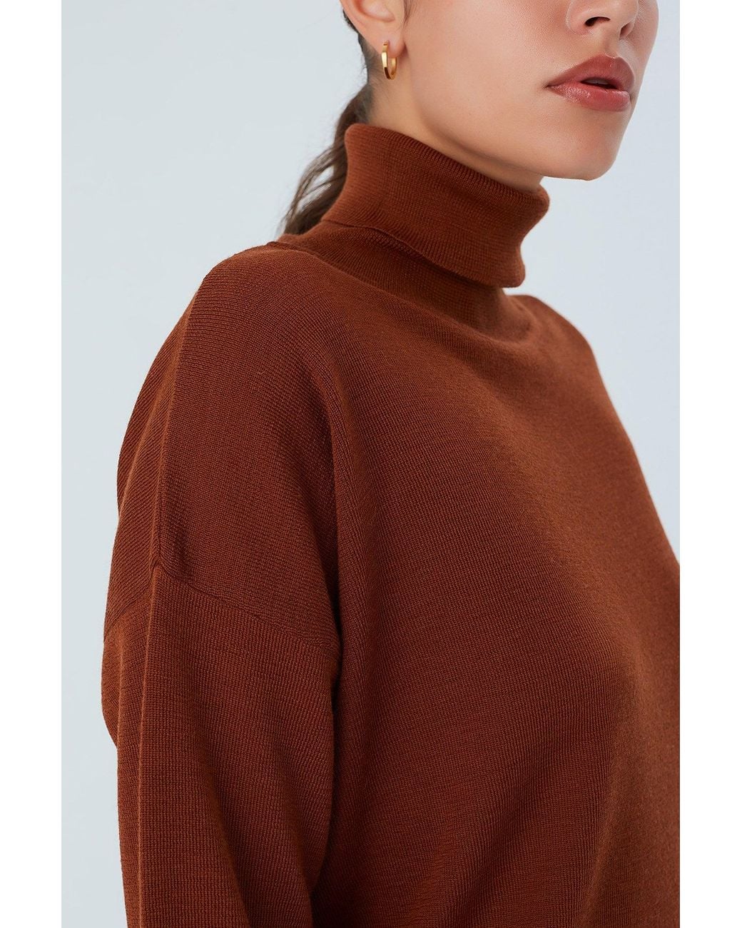 Peraluna Brown Wide Roll Neck Knitwear Pullover