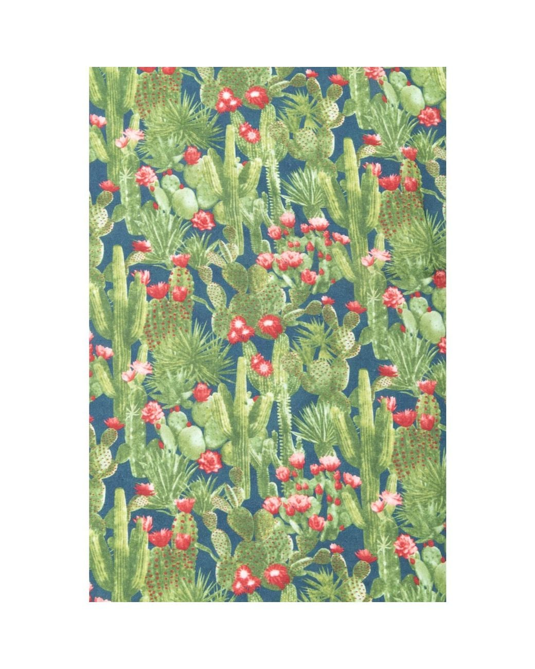 Saachi Blue Saguaro Sunset Bandana