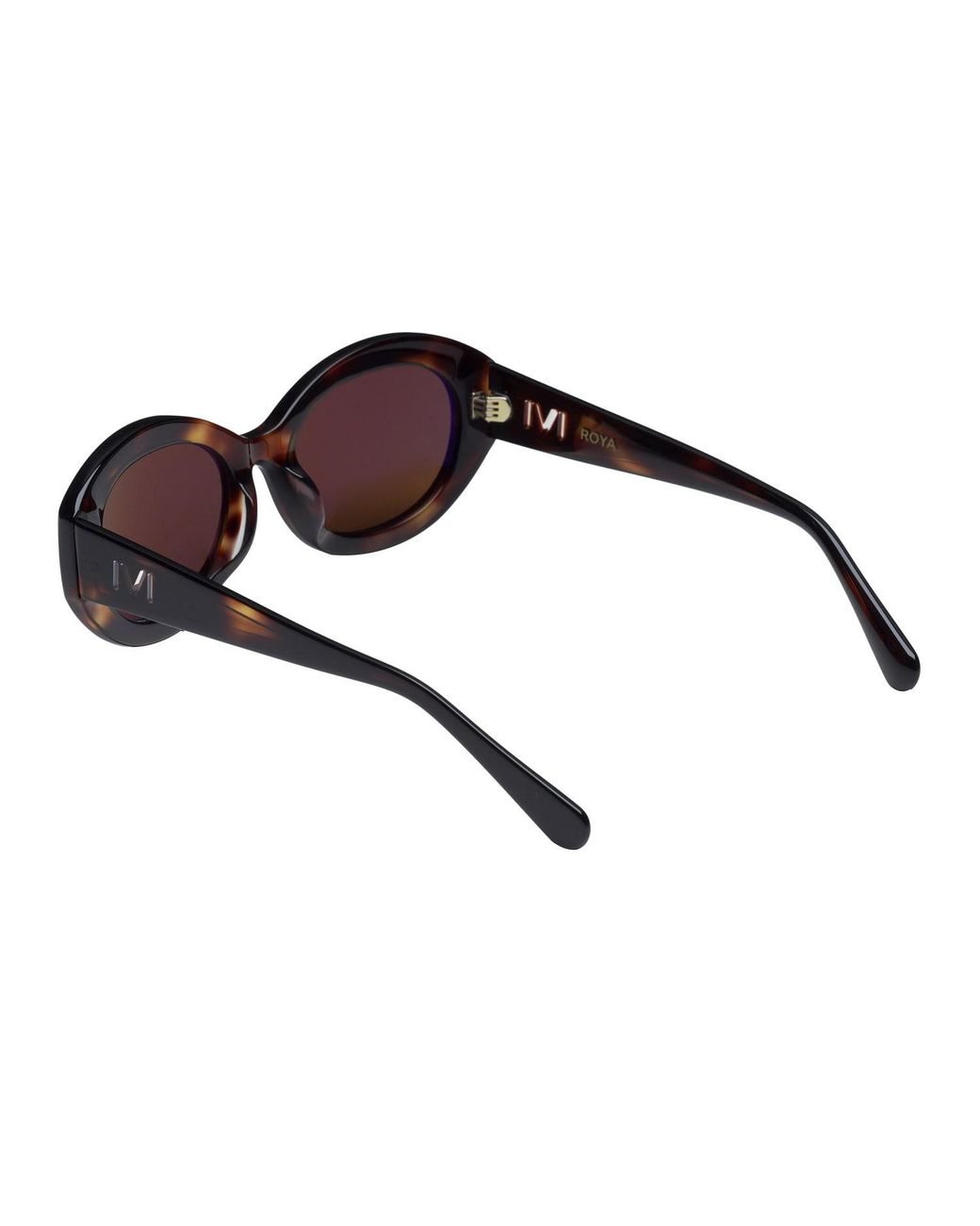 IVI VISION Brown Roya