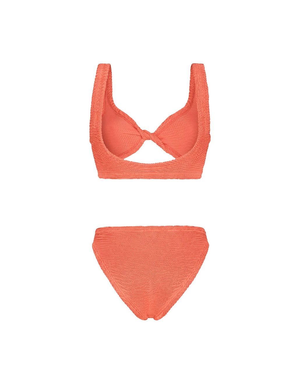 Paramidonna Orange Donika