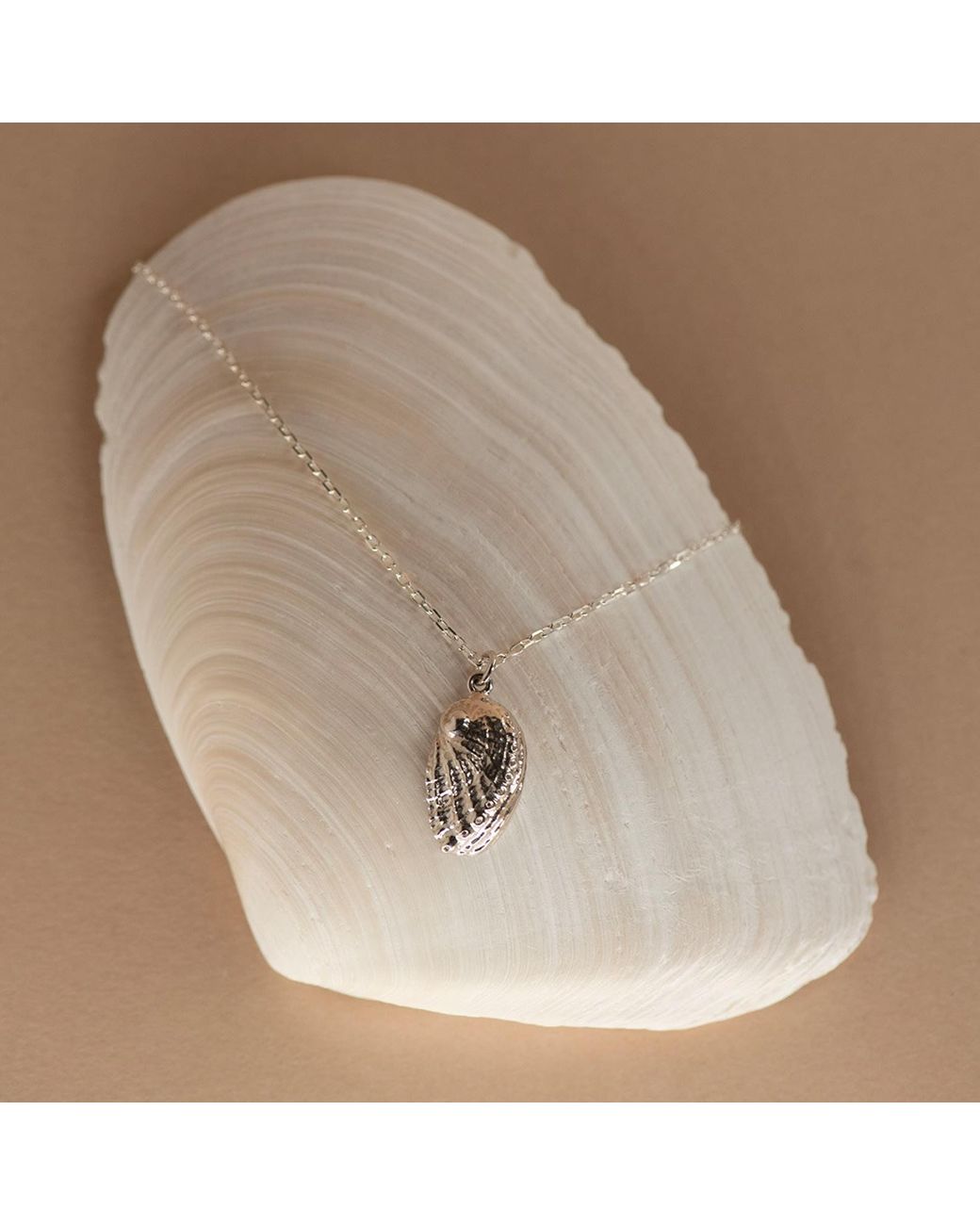 Zoe & Morgan Metallic Soul Paua Necklace