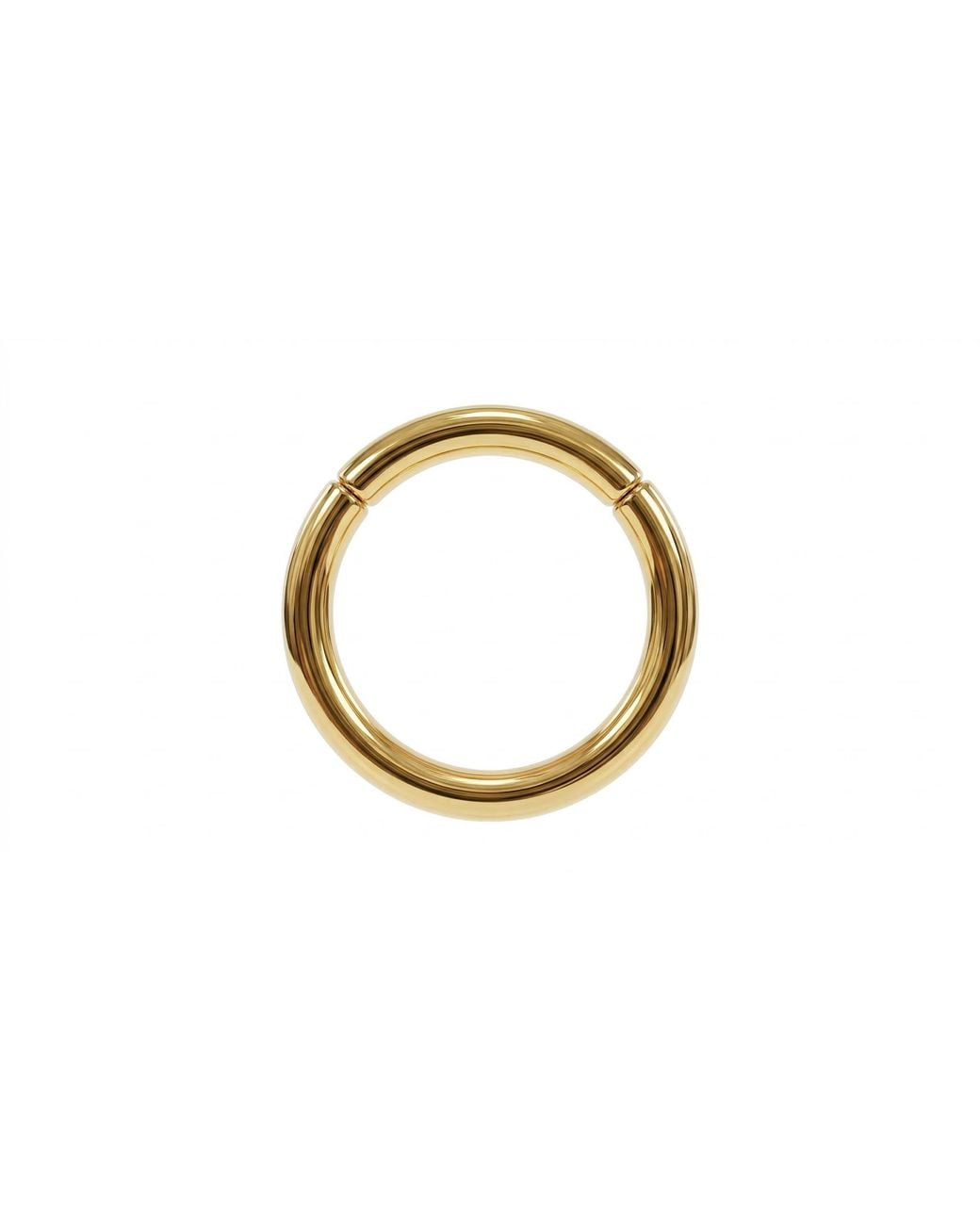 Zahav Jewelry Metallic 14K Solid Captive Segment Clicker Hoop