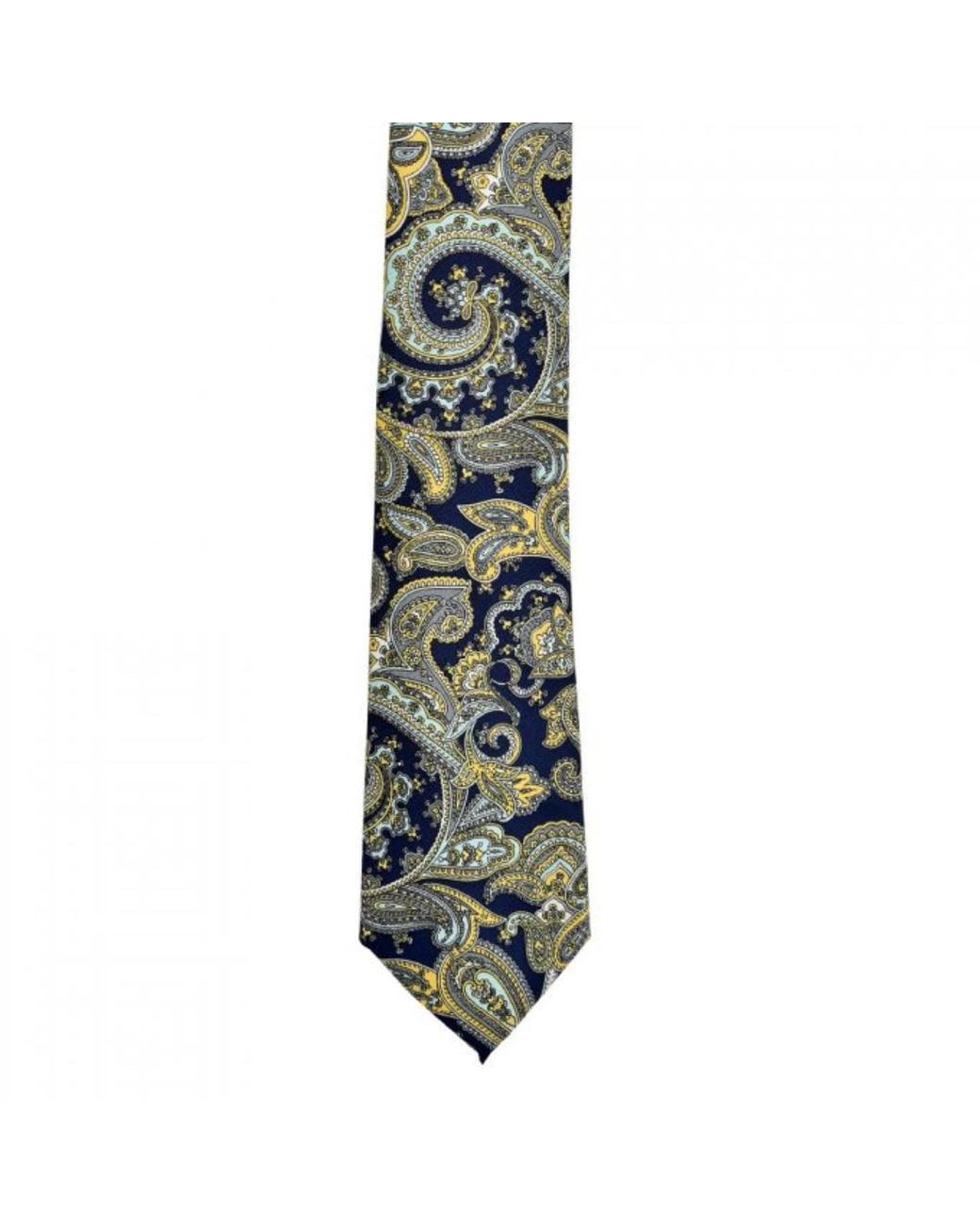 DAVID WEJ Metallic Paisley Printed Tie – for men