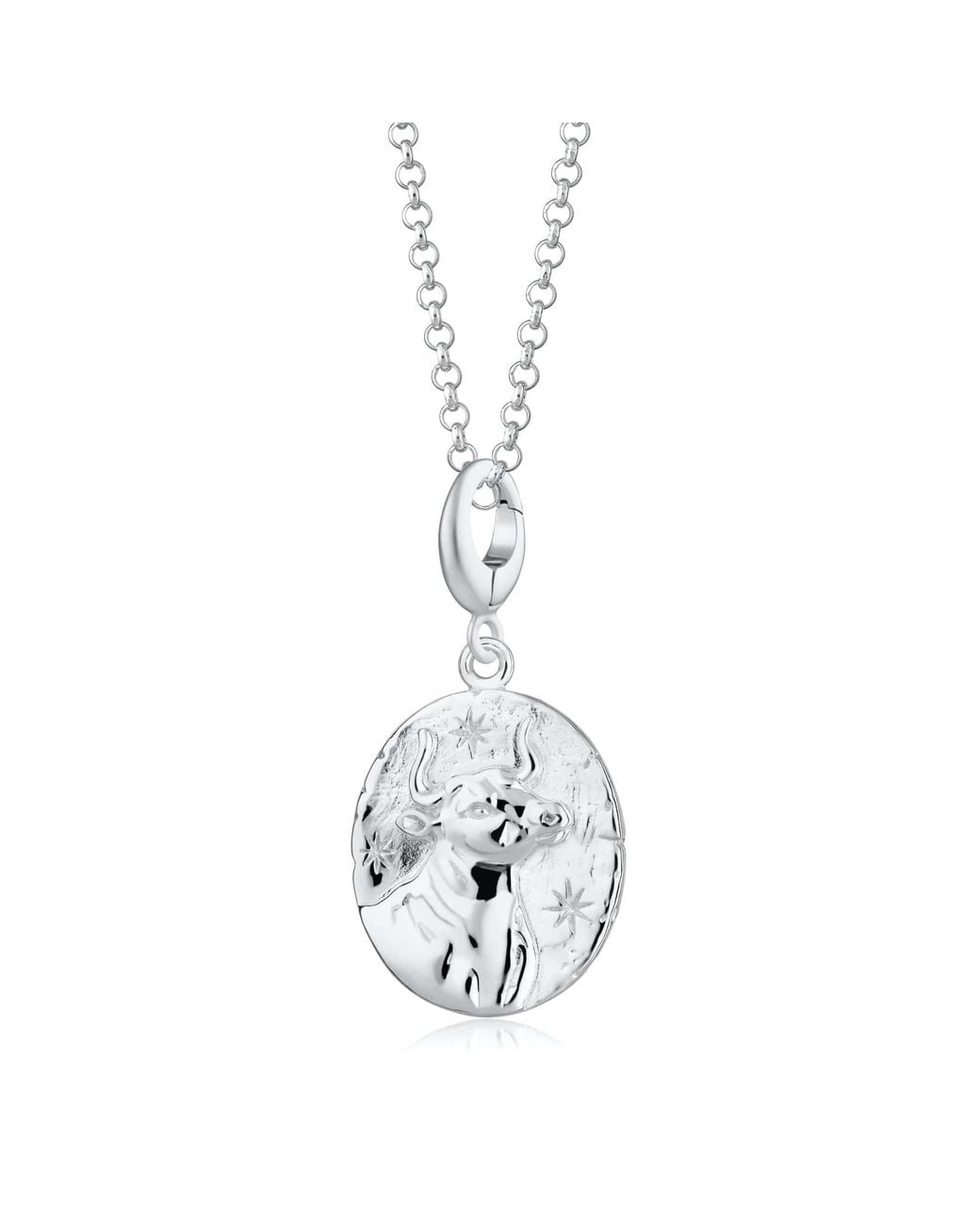 Lily Charmed Metallic Sterling Taurus Zodiac Charm Necklace
