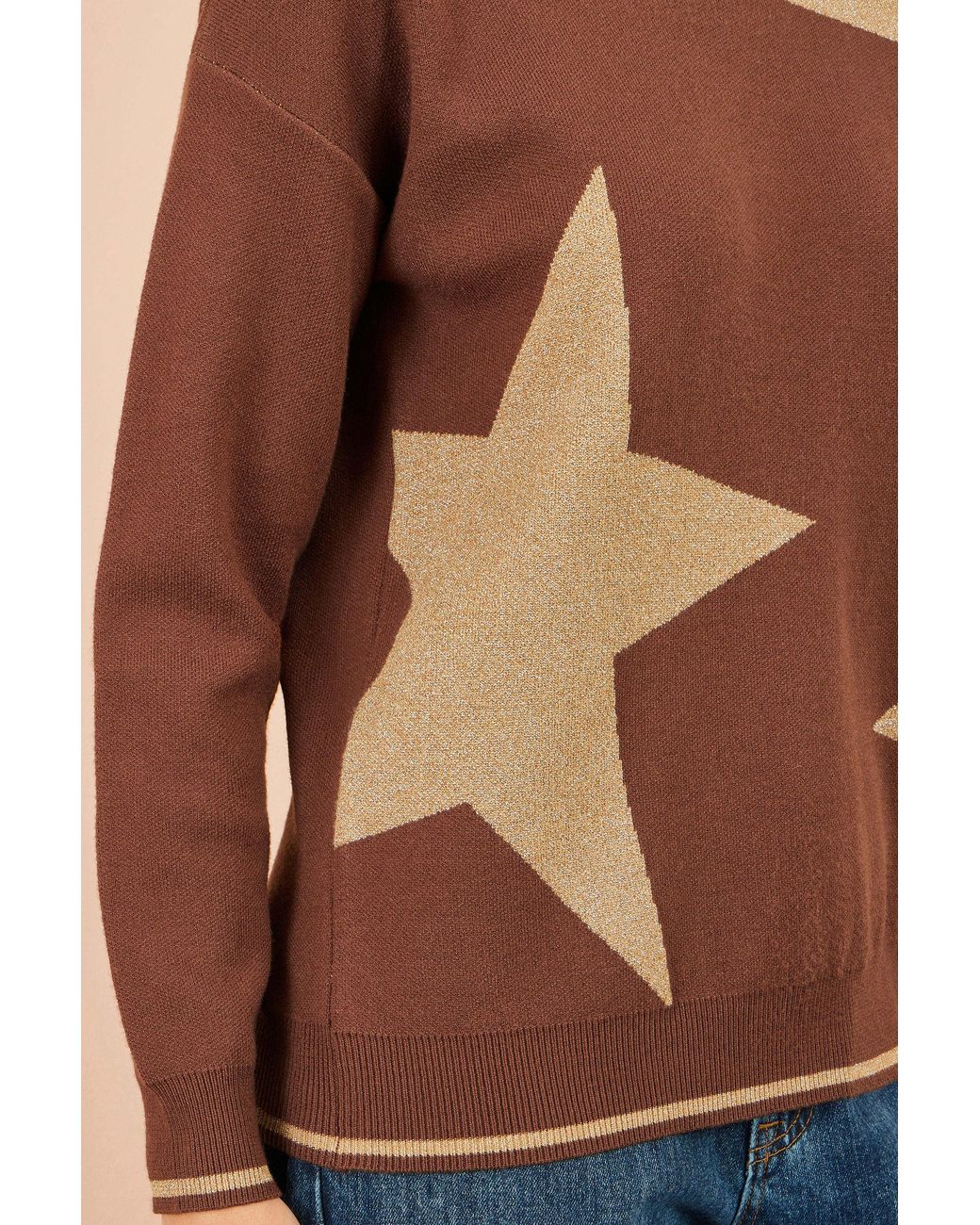 Yumi' Brown Viscose Star Relaxed Jumper With Sparkle