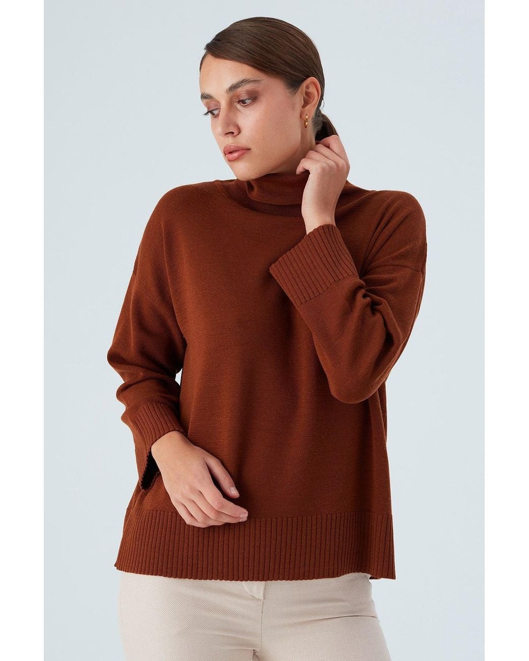 Peraluna Brown Wide Roll Neck Knitwear Pullover