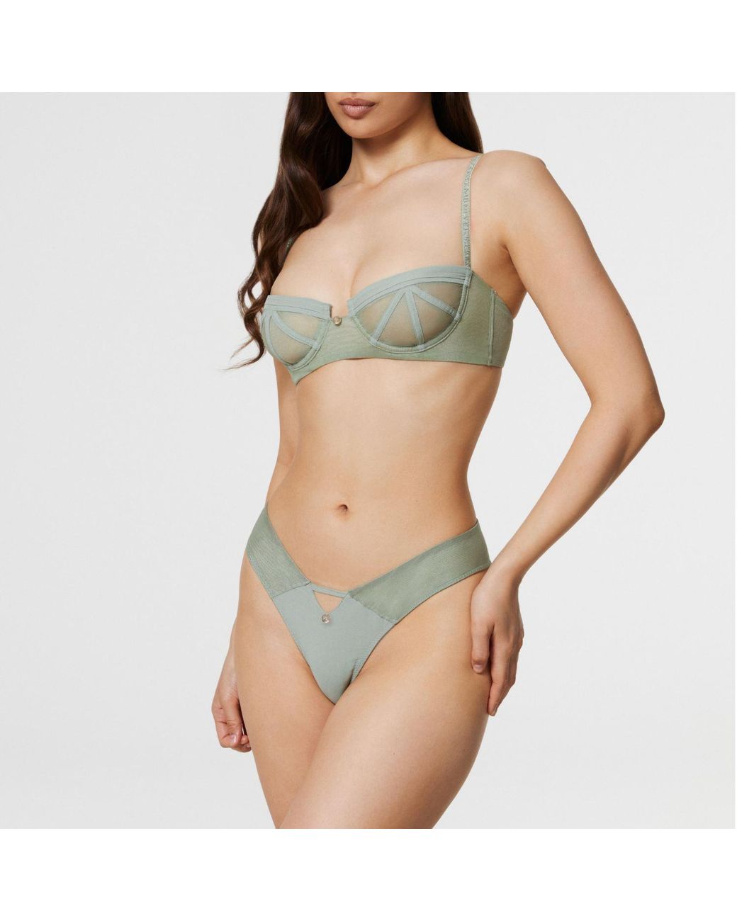 Vera Lumin Gray Azalea
