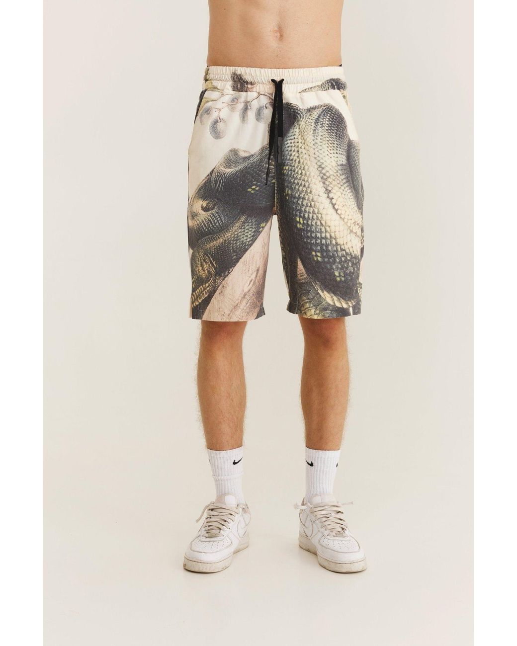 mysimplicated Multicolor Snake Bermuda Shorts for men