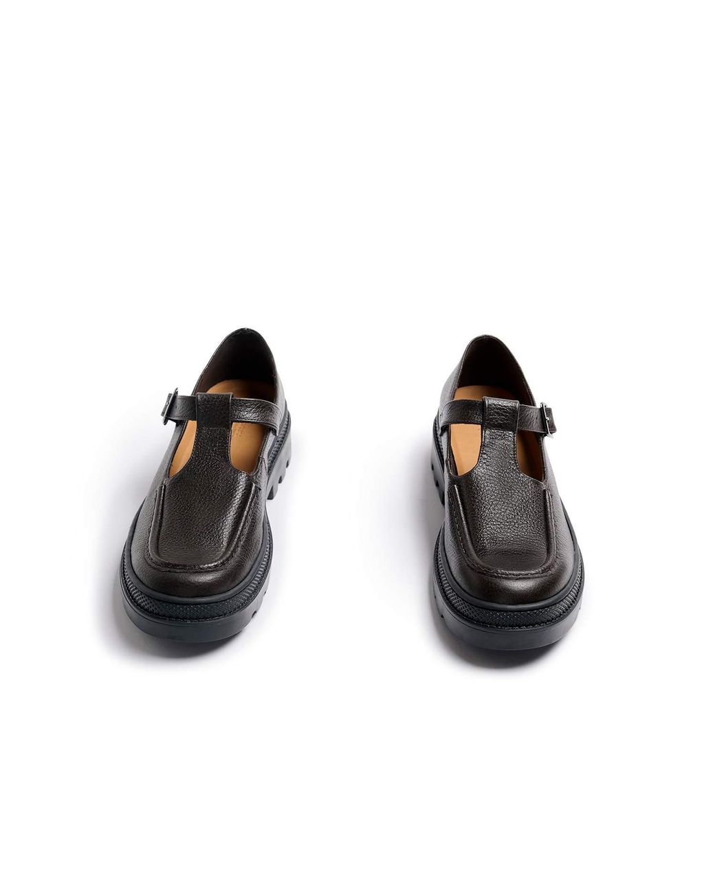 Naguisa Black Artemia
