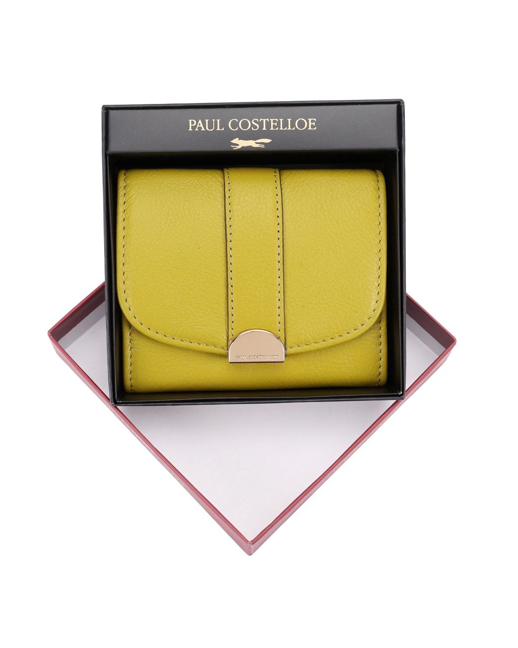 Paul Costelloe Yellow Lovel Leather Purse