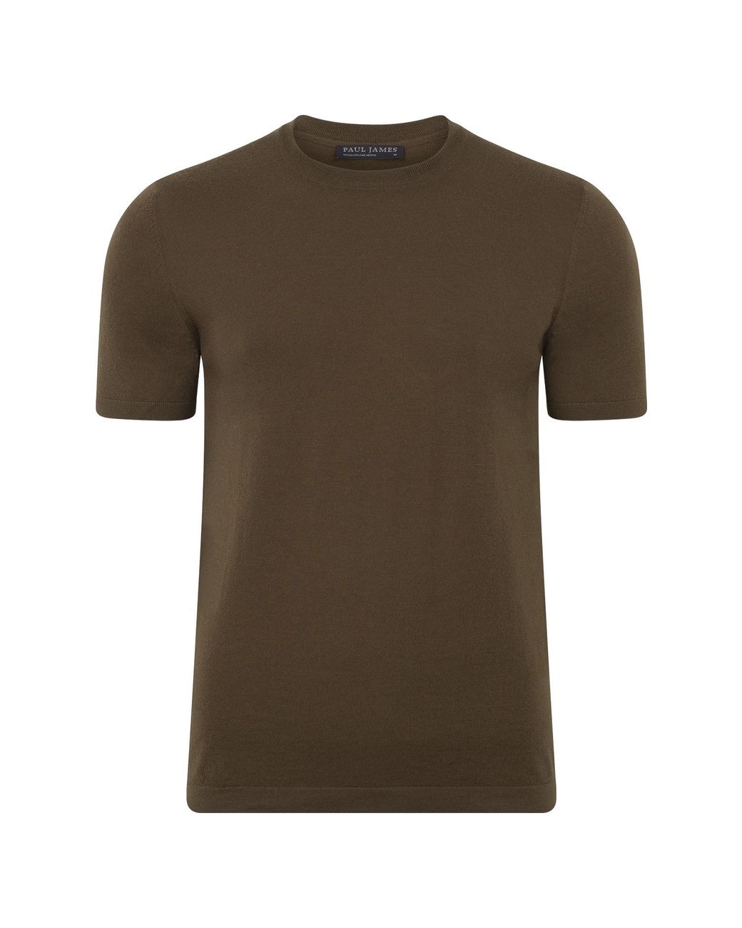 Paul James Knitwear Green Superfine Merino Wool Ilario Knitted T-Shirt for men