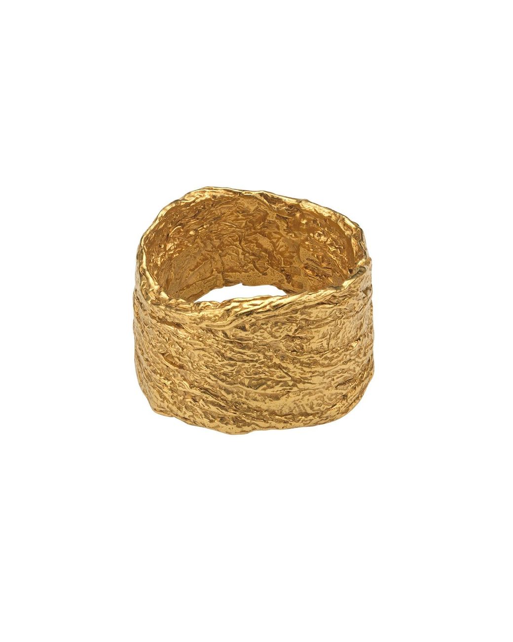 EVA REMENYI Metallic Archaic Ring