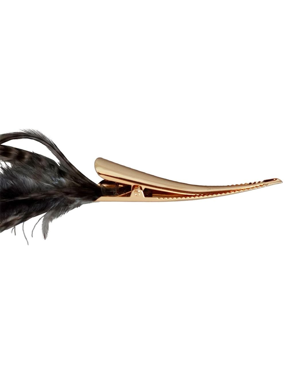 Romer Millinery Black Feather Clips For Hair, Hat, Turban & Lapel & Smokey
