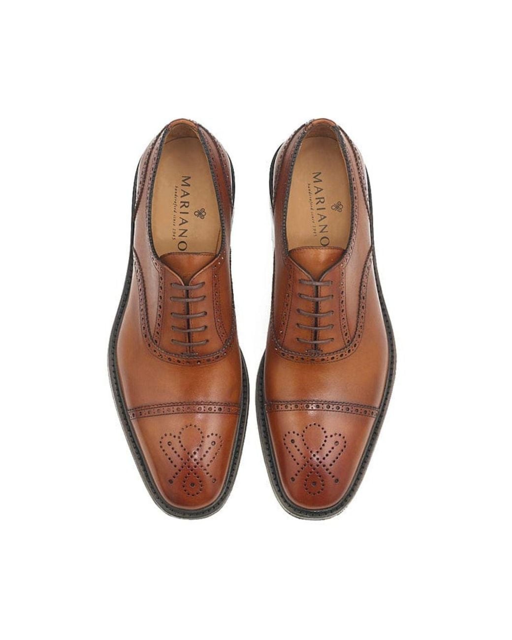 Mariano Shoes Brown Lisboa Oxford Cognac for men
