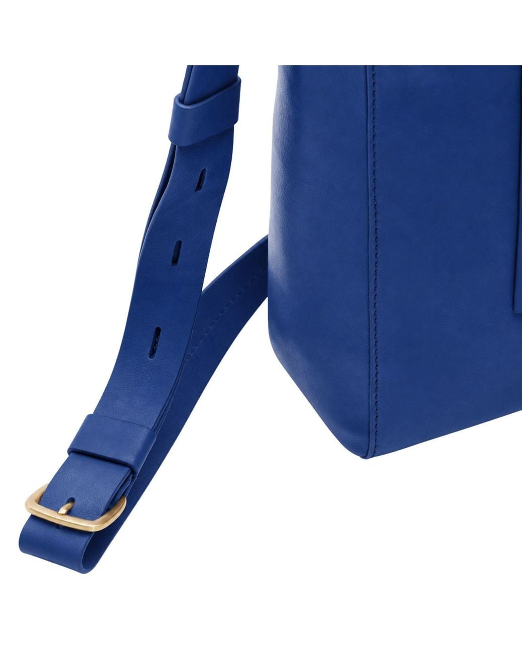 Écotorie Blue Brigitte