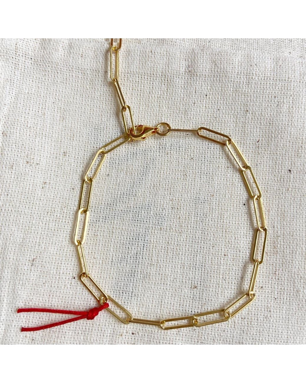 The Pheia Metallic Paperclip Chain Anklet