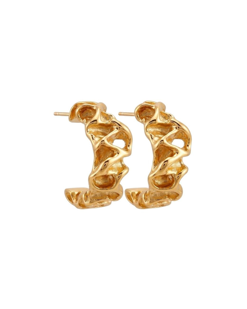 LINYA JEWELLERY Metallic Alveo Textured Hoop & Plated Earrings