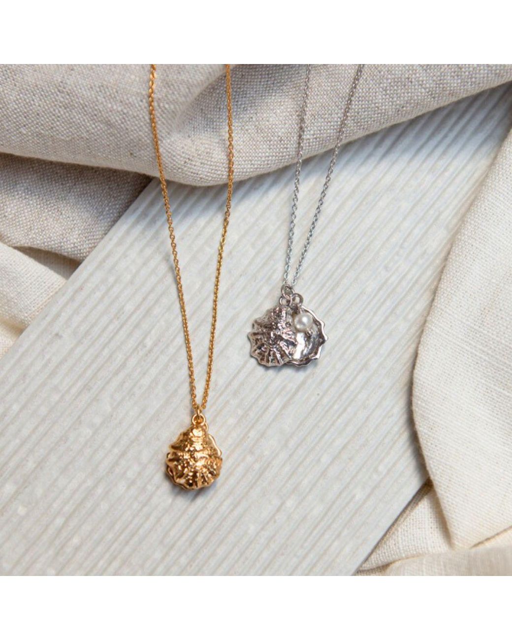 Auree Jewellery Metallic Gaia Vermeil Oyster Shell And Pearl Necklace