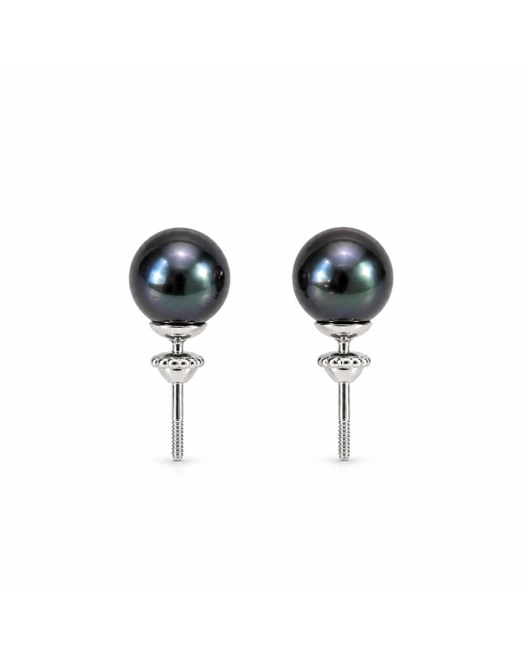 Pearl Code Black Pearl Stud Earrings
