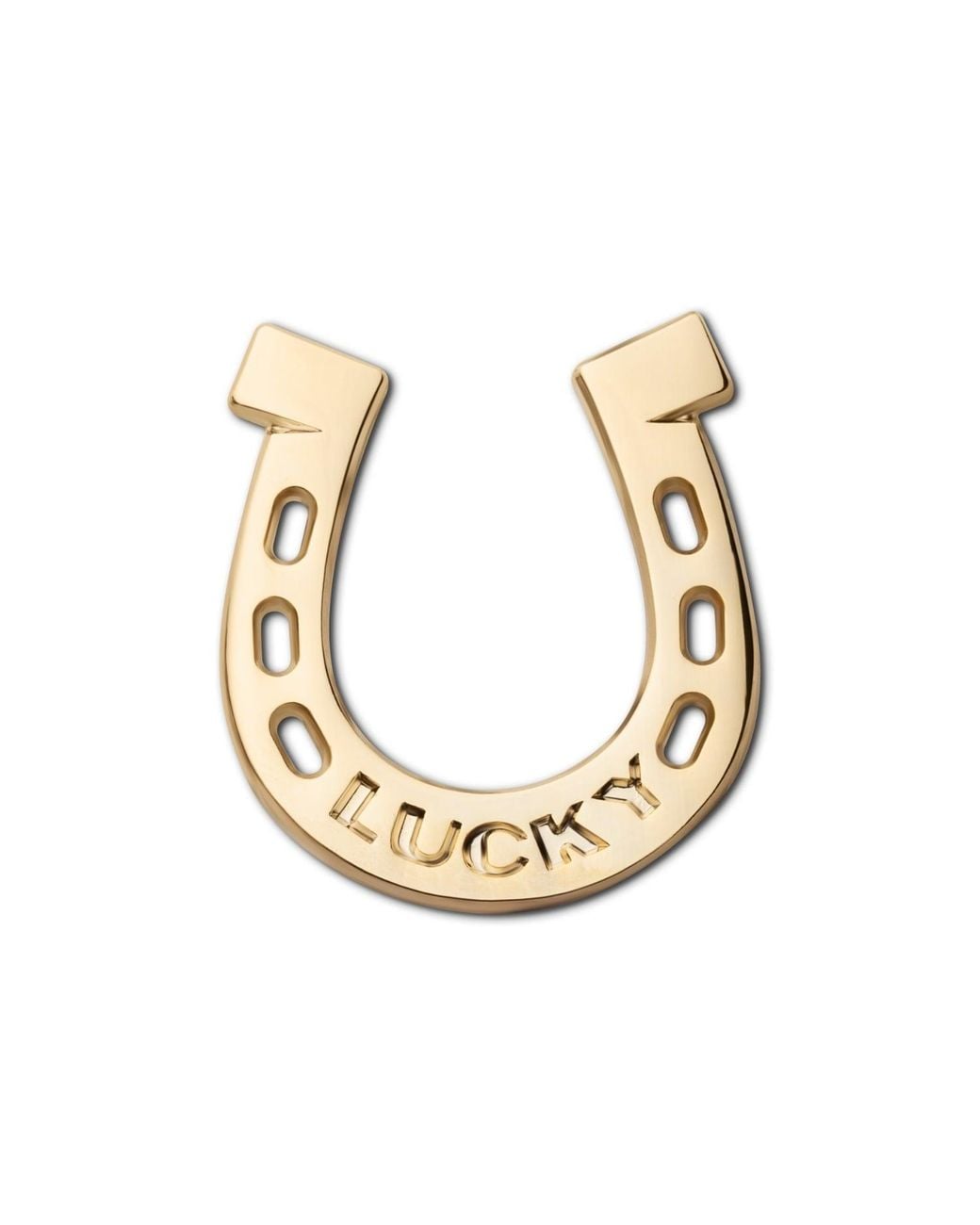 Make Heads Turn Metallic Golden Metal Pin Horseshoe