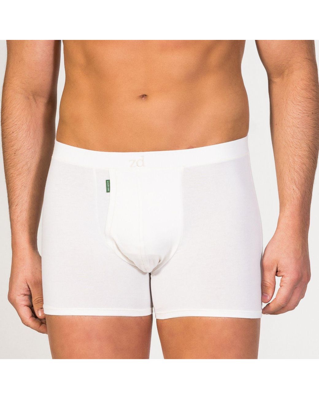 Zd - Zero Defects Gray Neutrals Heracles Fly Front Boxer – Maximum Softness For Sensitive Skin for men