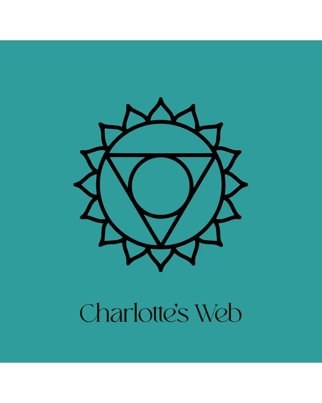 Charlotte's Web Jewellery Metallic Throat Chakra Necklace