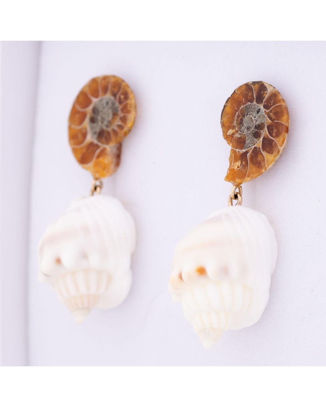 Oana Savu Natural Ammonite Fossils Seashells Shells Earrings Studs