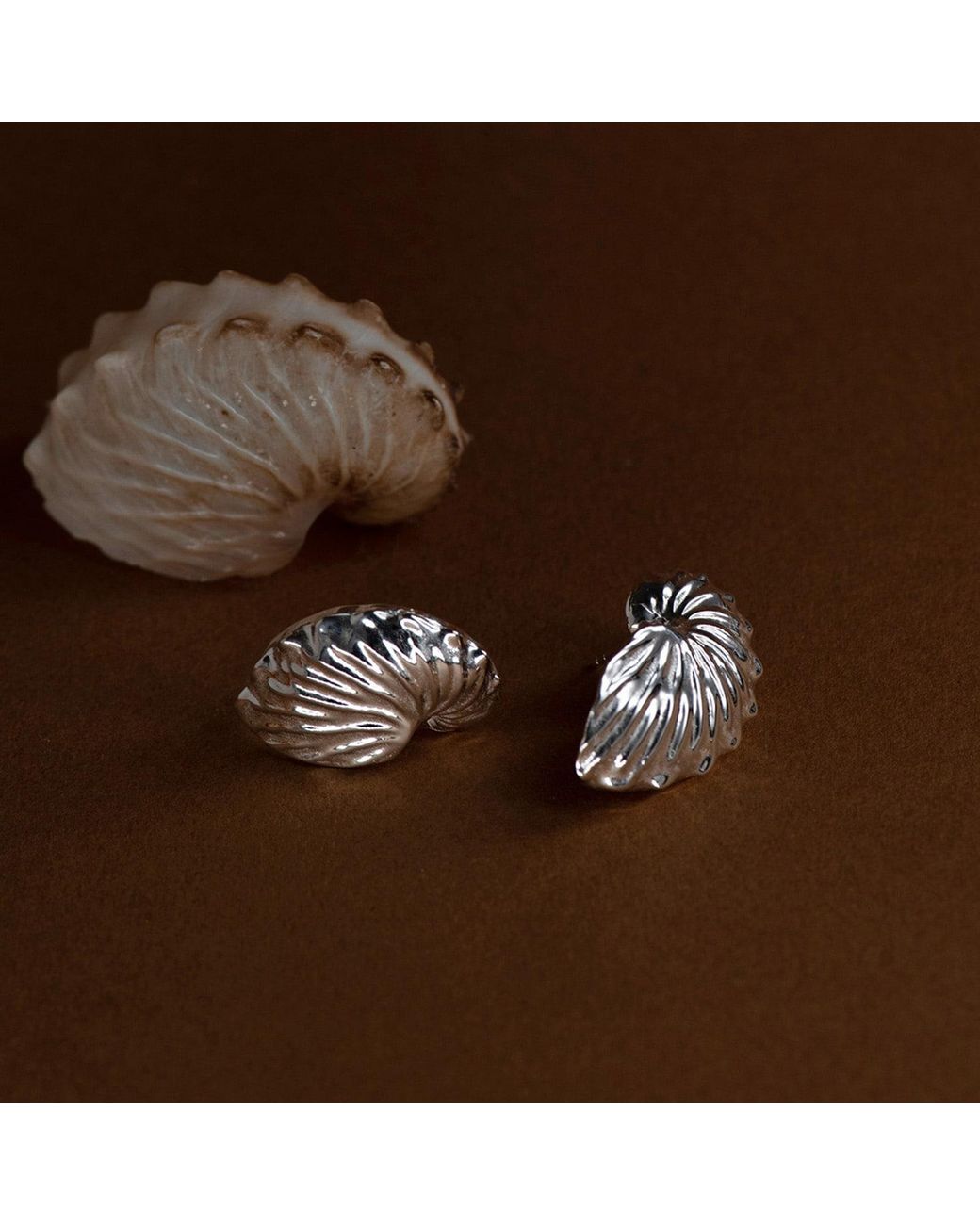 Zoe & Morgan Metallic Paper Nautilus Earrings