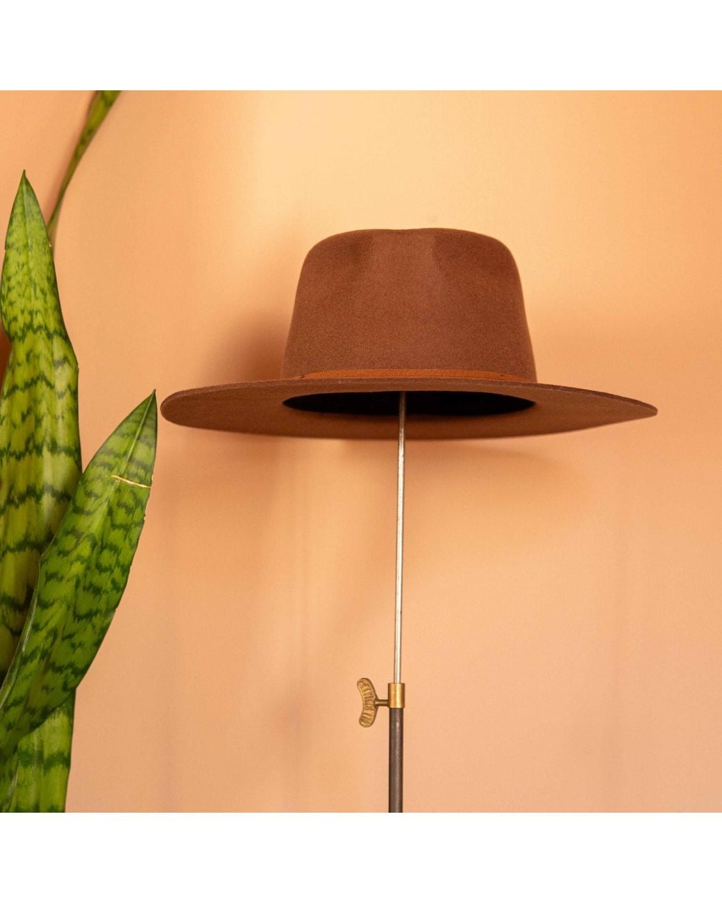 Shaded the Label Brown Pendower Coffee Fedora Hat