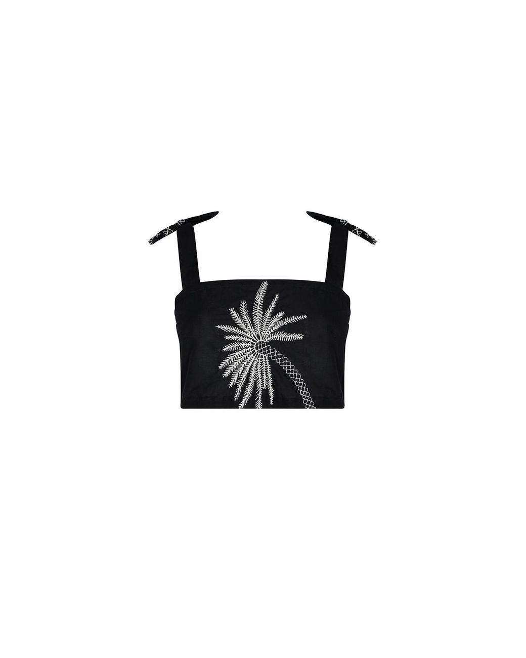 Aguaclara Black Sago Palm Top