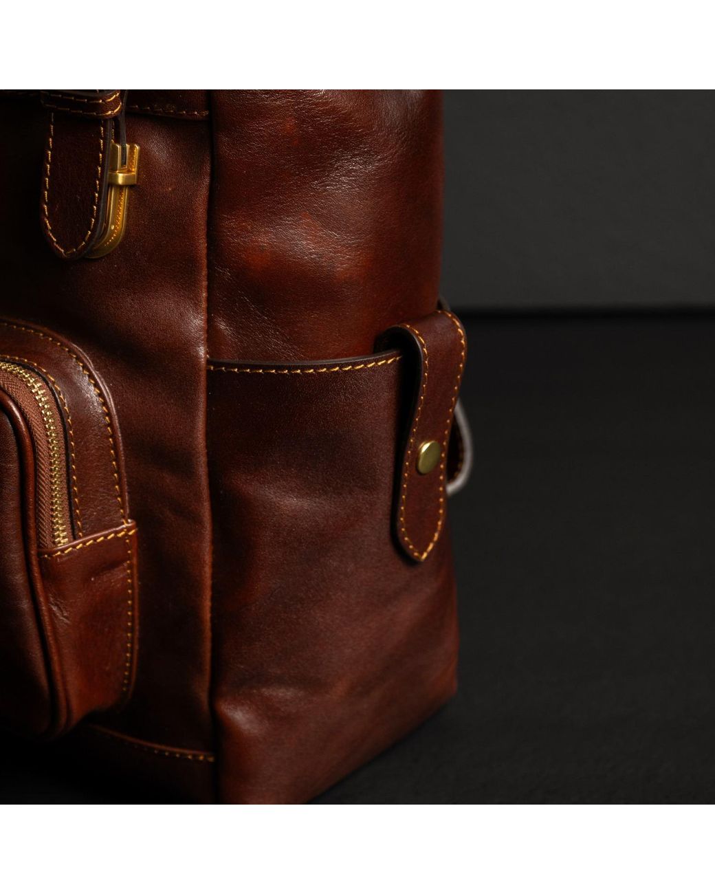 Time Resistance Brown Leather Backpack for men