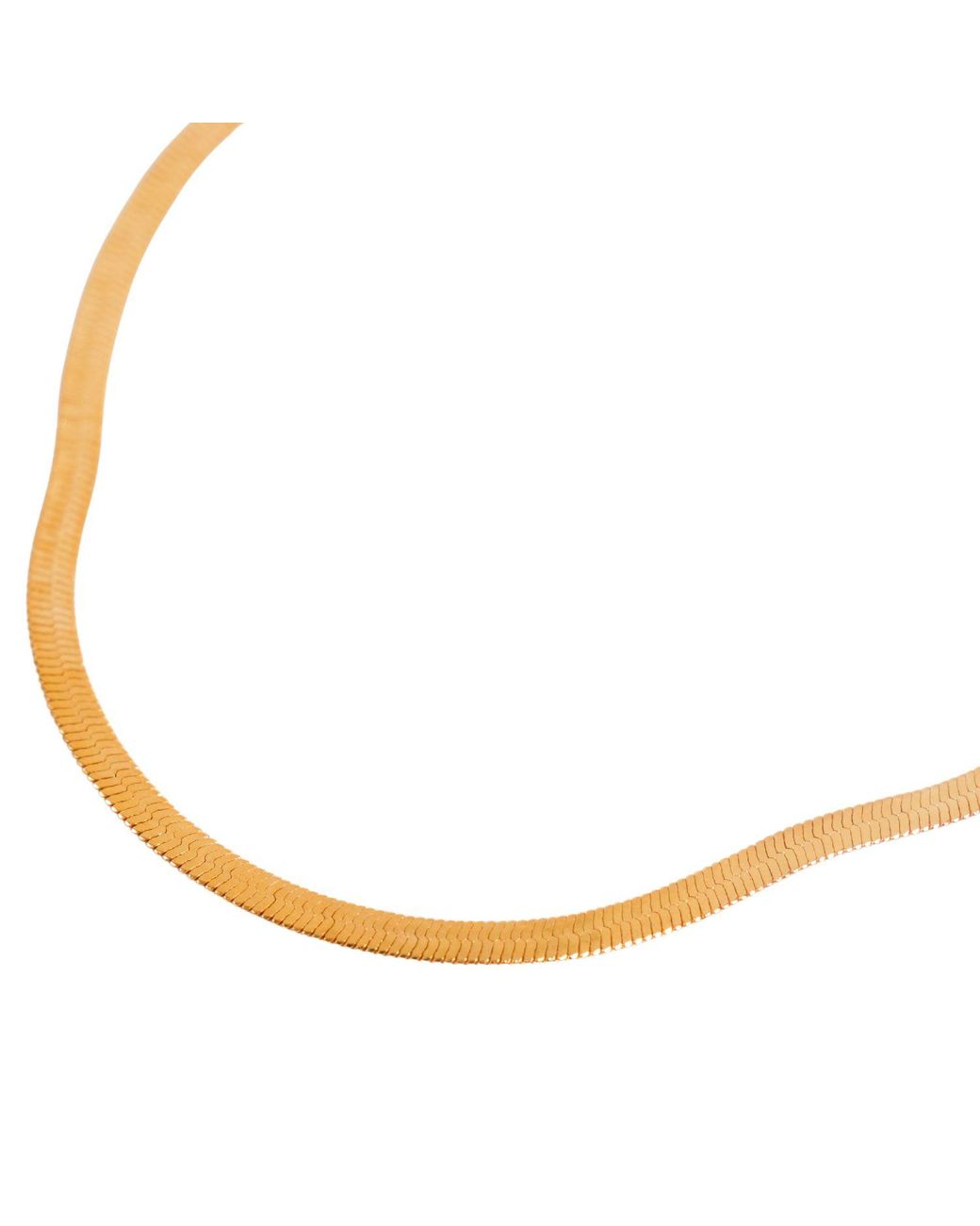 Les Reines Metallic Snake Chain