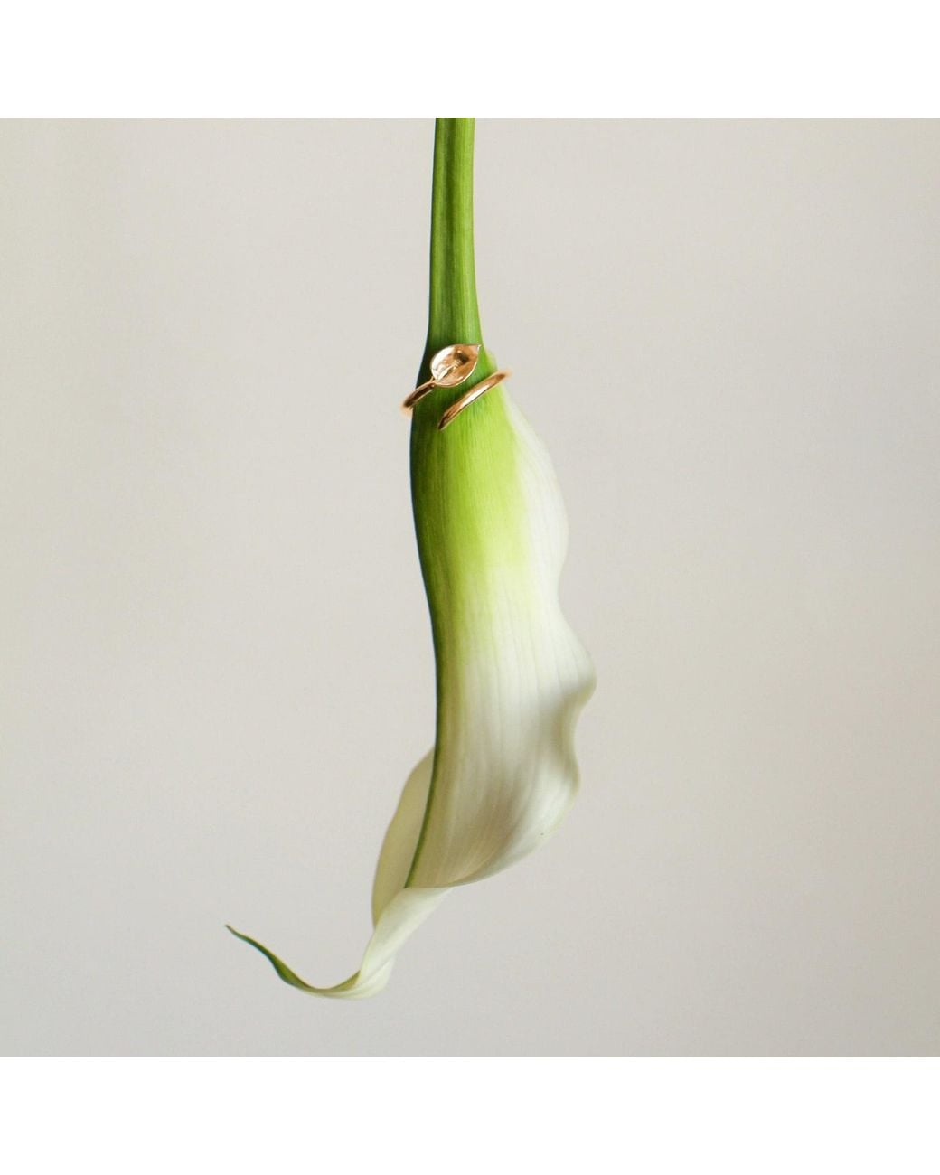 Agora Jewellery Metallic Calla Ring