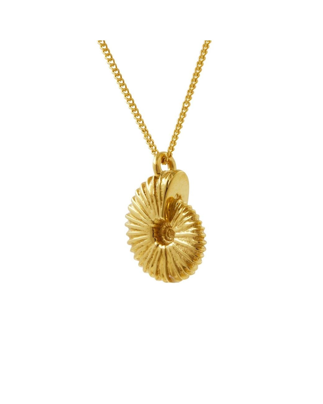 Lee Renee Metallic Ammonite Necklace