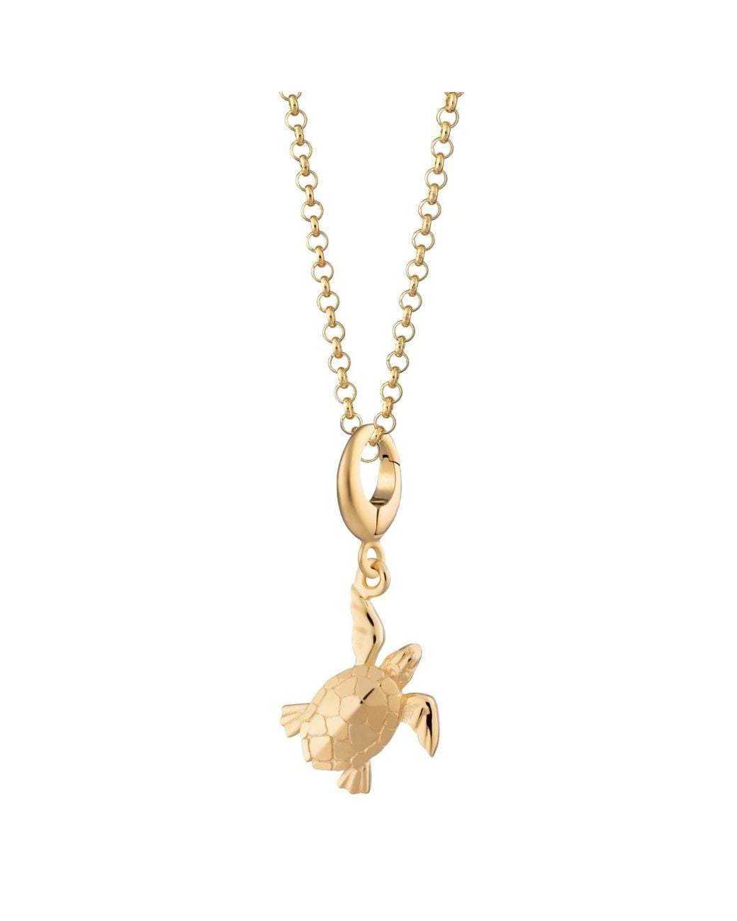 Lily Charmed Metallic Plated Turtle Charm Necklace