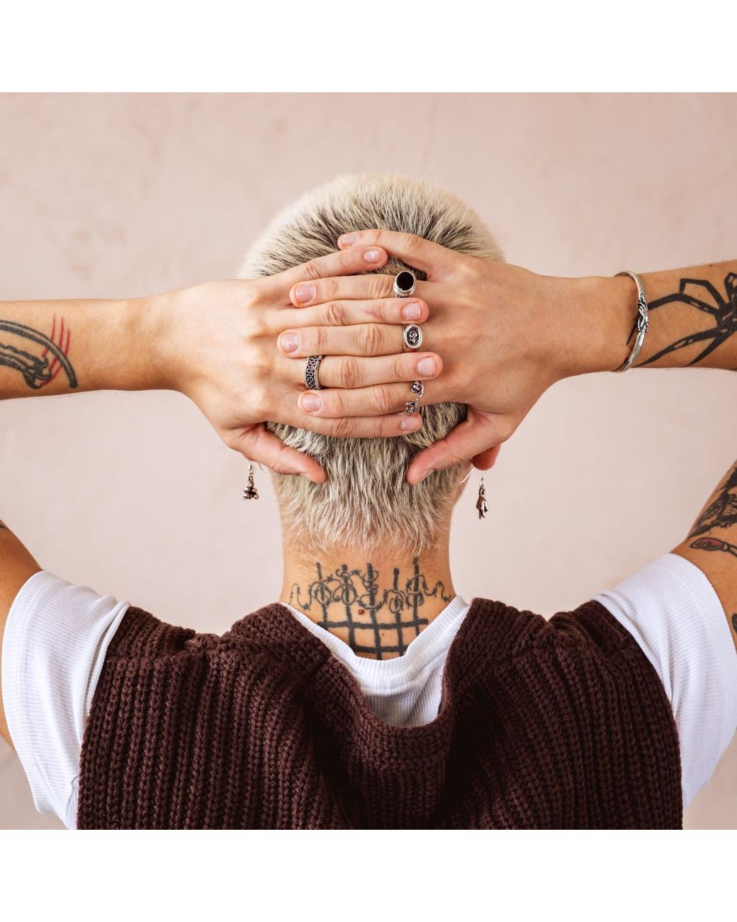 Francis Green White The Python Ring