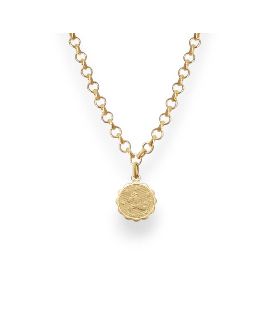 Alexie of Athens Metallic Capricorn Zodiac Mini Medallion Chain Necklace