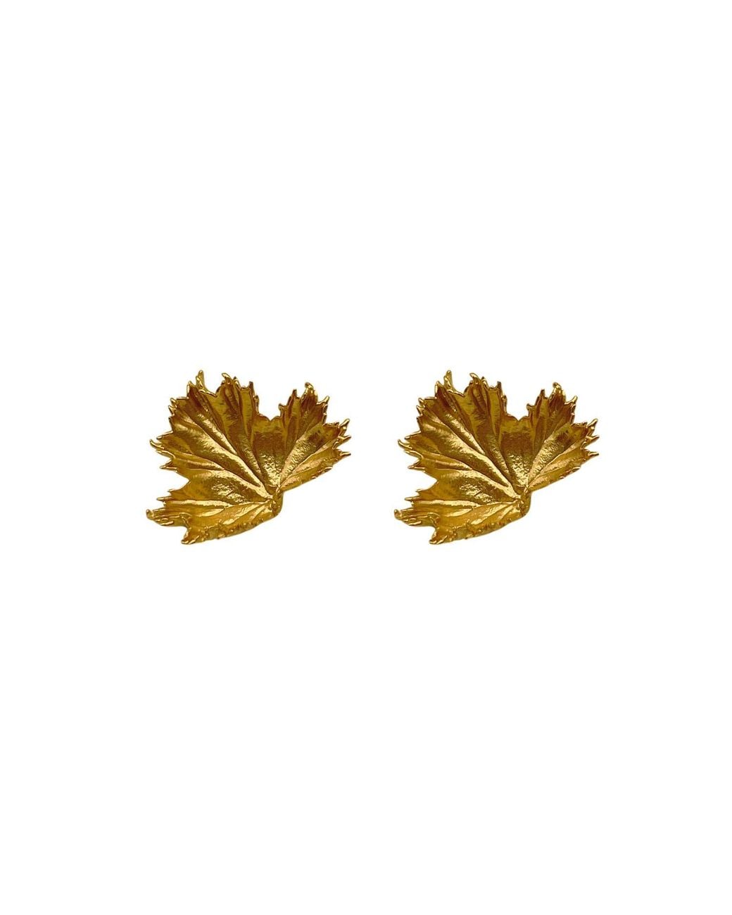 Les Reines Yellow Sylva