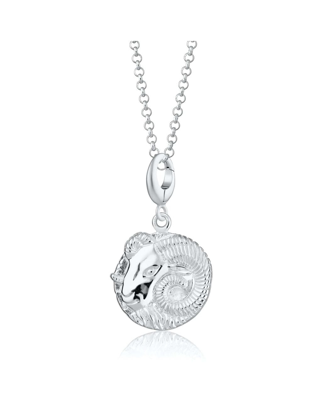 Lily Charmed Metallic Sterling Aries Zodiac Charm Necklace