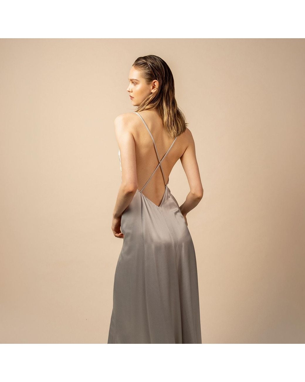 Anse Victorin Gray Elissa Slip Silk Dress