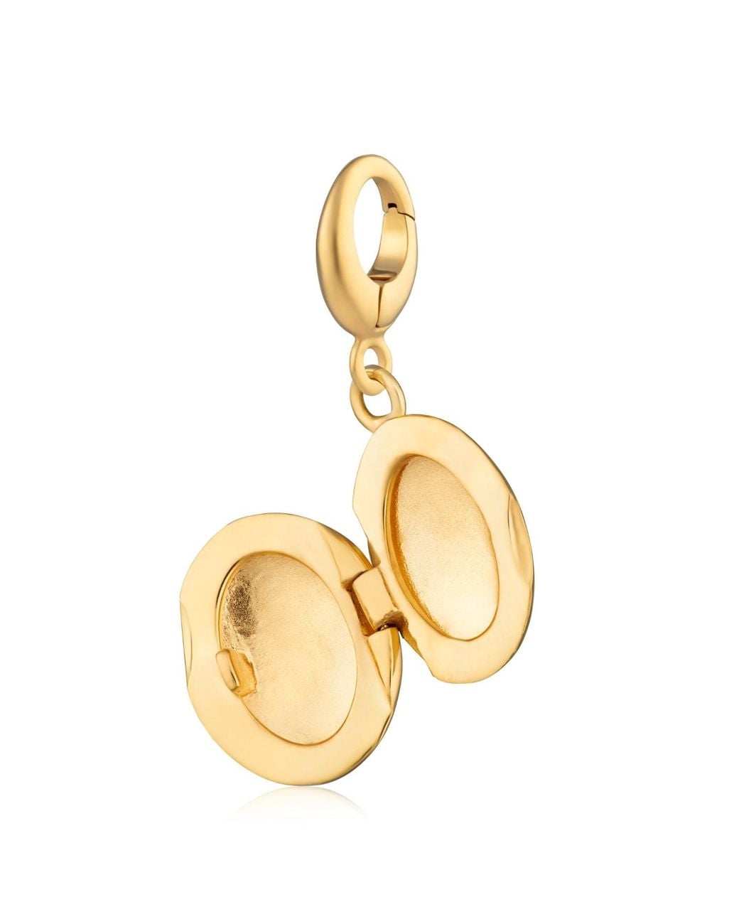 Lily Charmed Metallic Plated Tiny Celestial Locket Charm