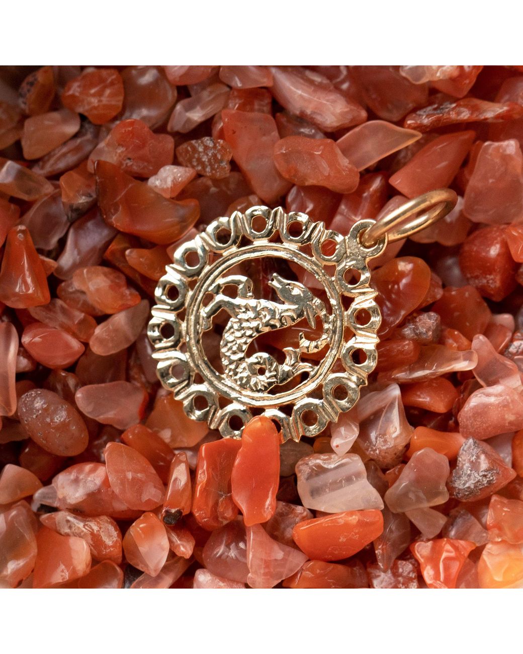 Maya Brenner Metallic Zodiac Necklace