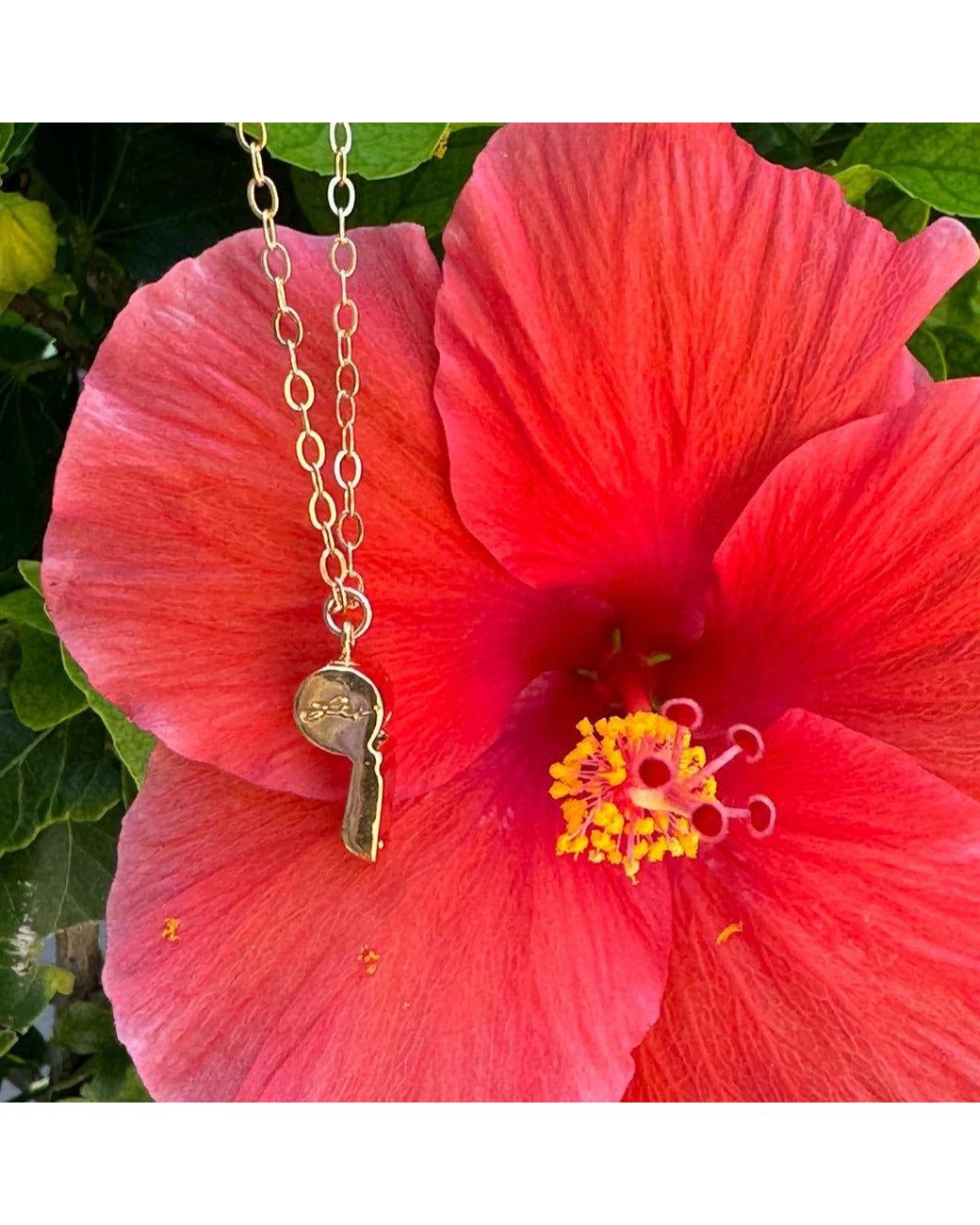 Lexi Jewelry Metallic Real Whistle Necklace