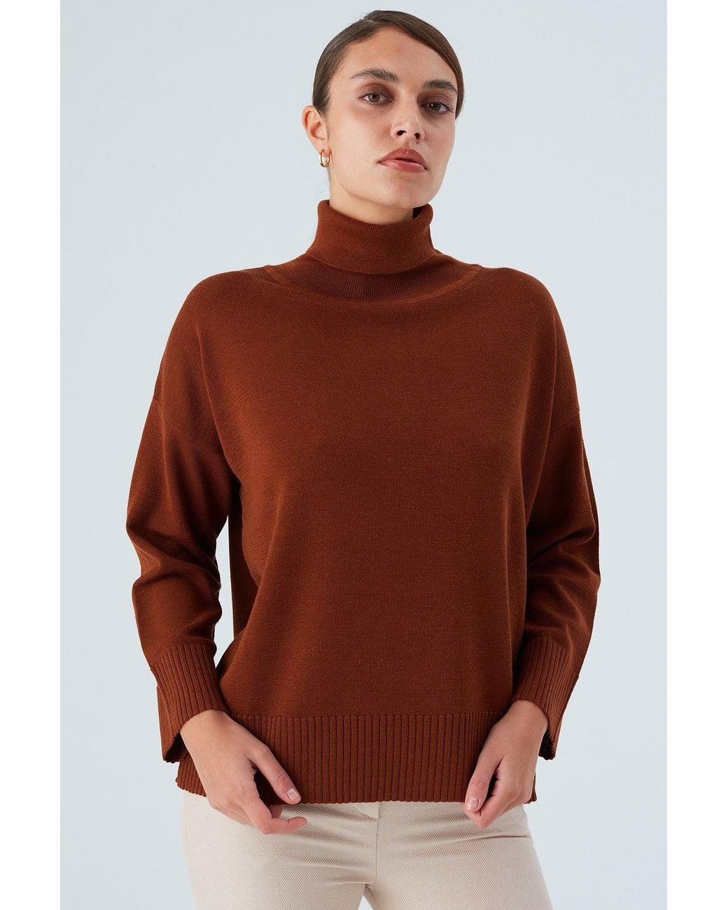 Peraluna Brown Wide Roll Neck Knitwear Pullover