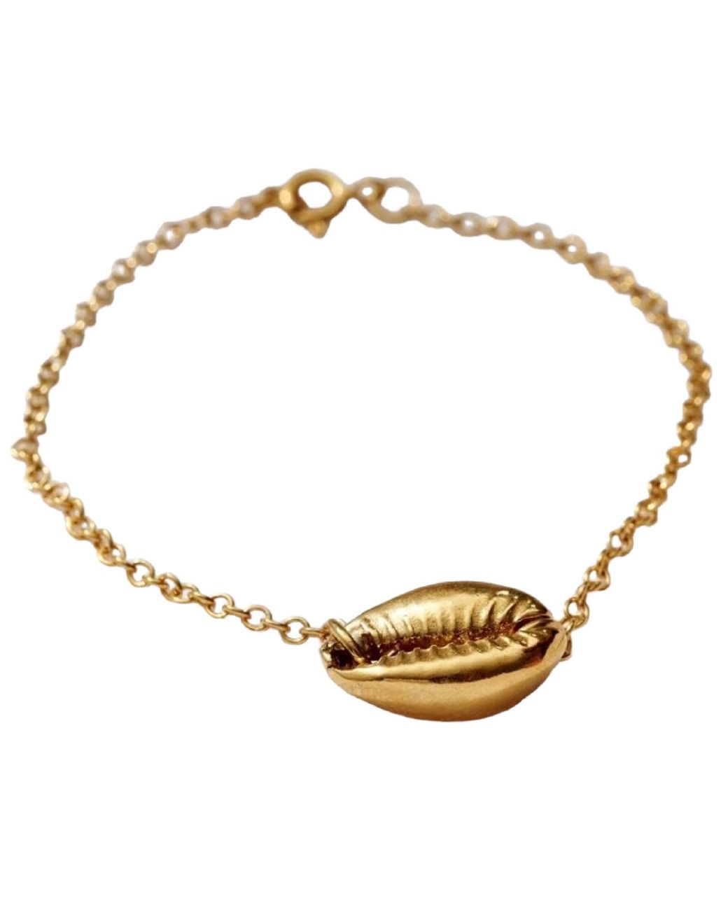 Posh Totty Designs Metallic Yellow Gold Plated Cowrie Shell Bracelet